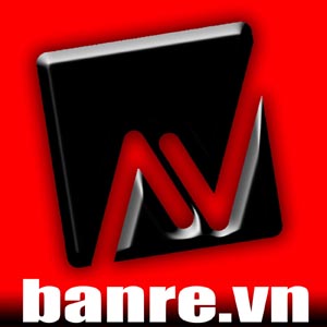 nguyenvulogo.jpg